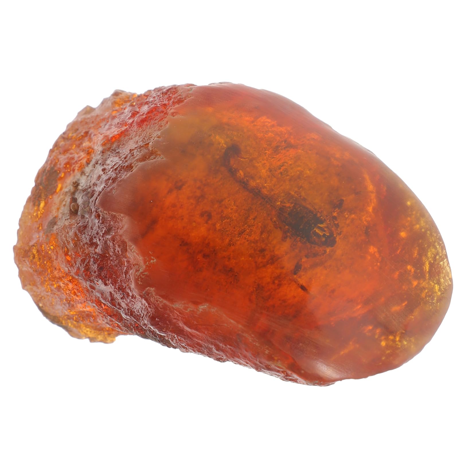 JECOMPRIS Amber Sample Insect Specimen Amber Stone Specimen Insect Stone Decor Insect Decor Home Decor Insect Sample Insect Stone Specimen Insect Amber Specimen Amber Adornment Resin