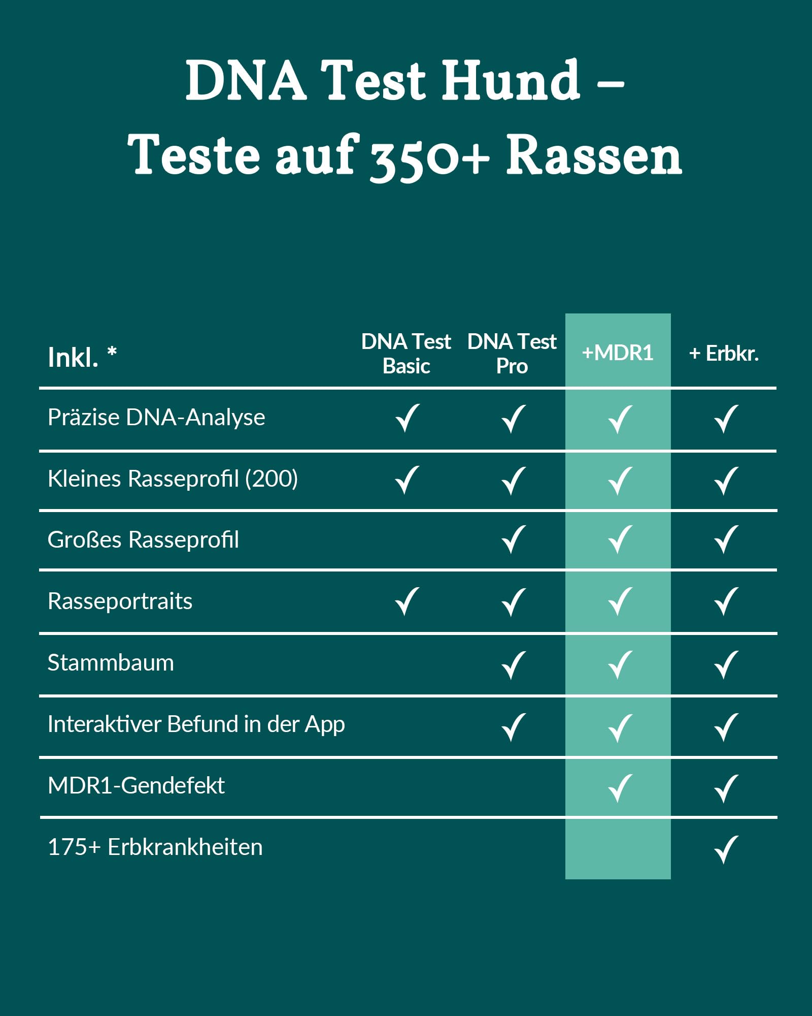 vetevo DNA Test Hund - Rassenbestimmung & MDR1 Gendefekt - 400+ Rassen | Speichelprobe bequem von zu Hause, Auswertung in der vetevo App, sorgfältige & verlässliche Laboranalyse