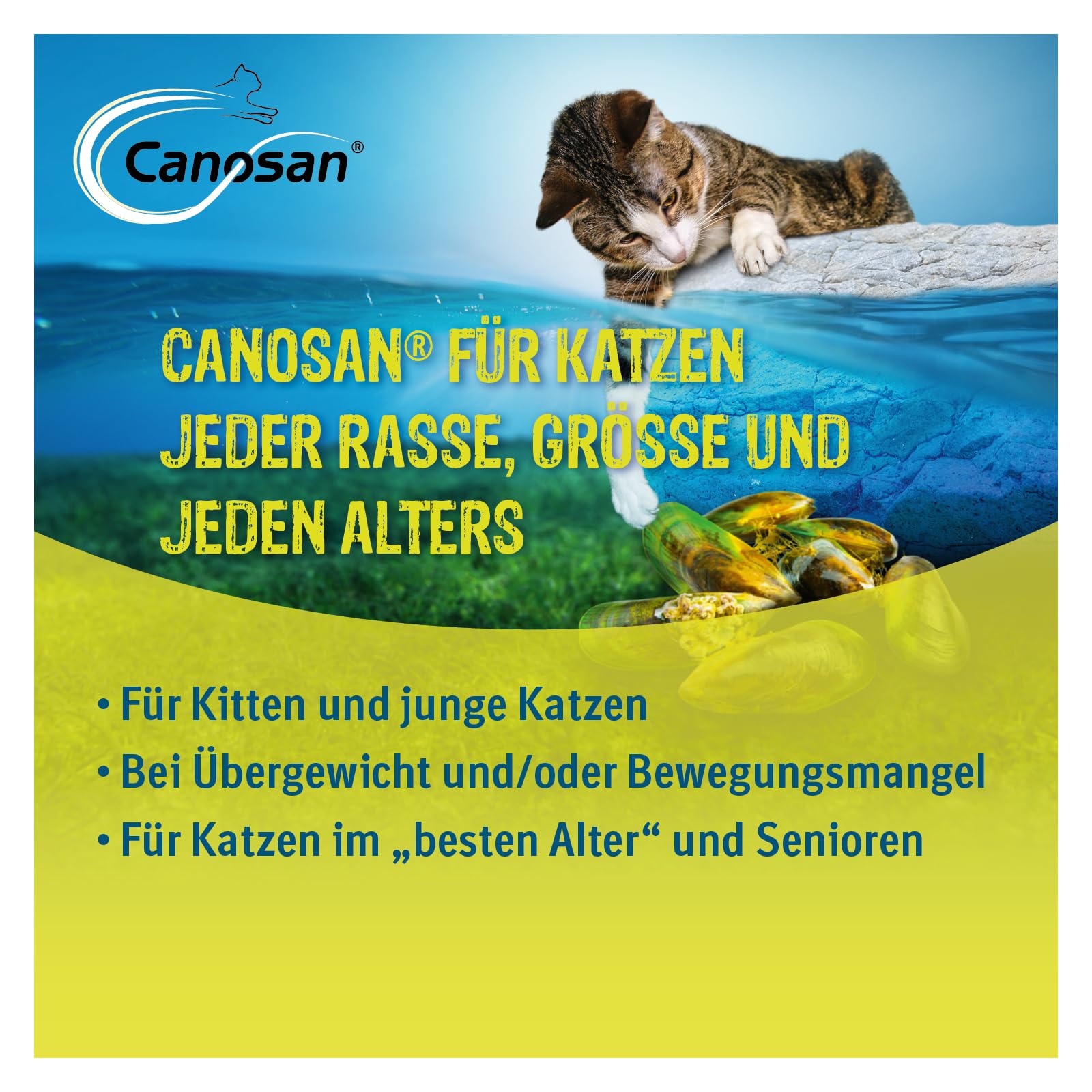 CANOSAN Pastillas masticables, 3 x 30 unidades, mejillón de labios verdes para la salud articular en gatos