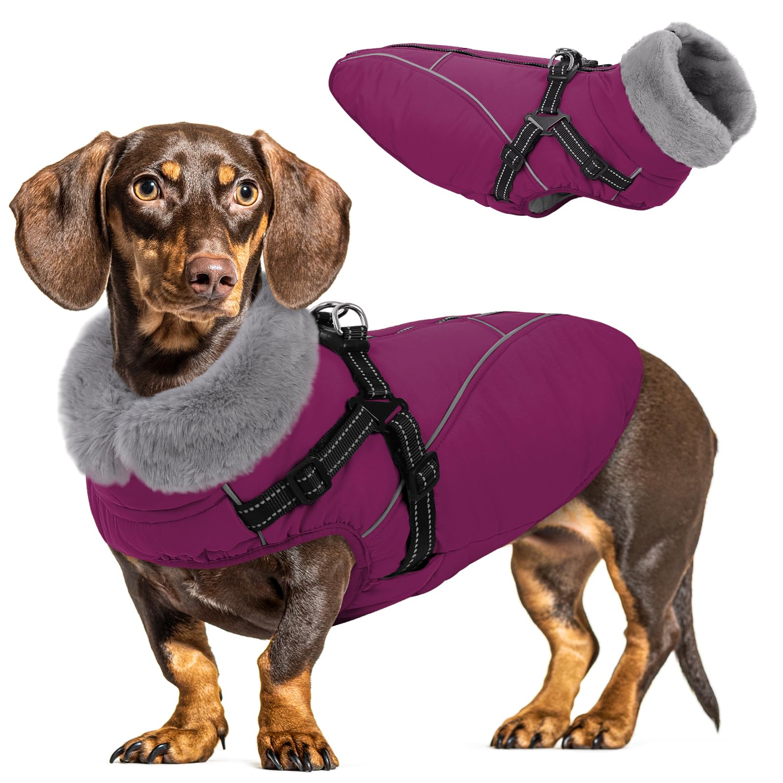 Queenmore Puppy Coat Waterproof Warm 3-Layer Fleece Dog Jacket with Harness - Reflective Winter Clothes for Small Chihuahua/Poodle/Yorkie(Plum, XS)