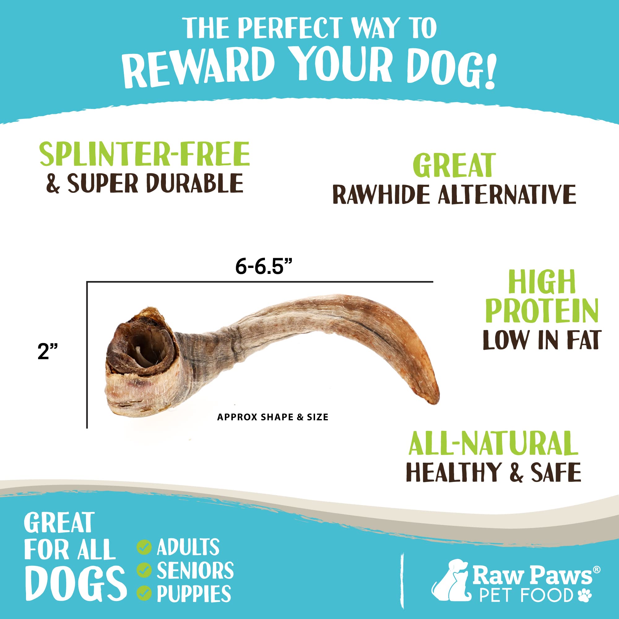 Are Lamb Horns Safe For Dogs