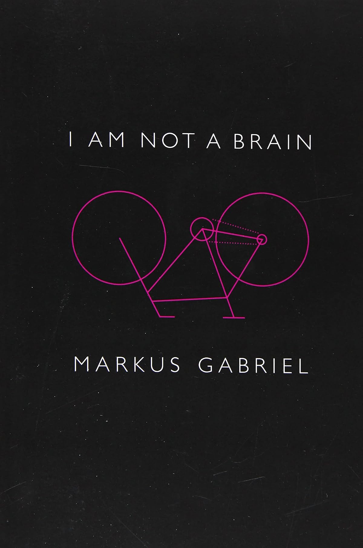 I am Not a Brain - Philosophy of Mind for the 21st Century