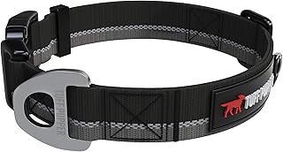 indestructible dog collar