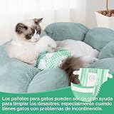 Ver la foto 7