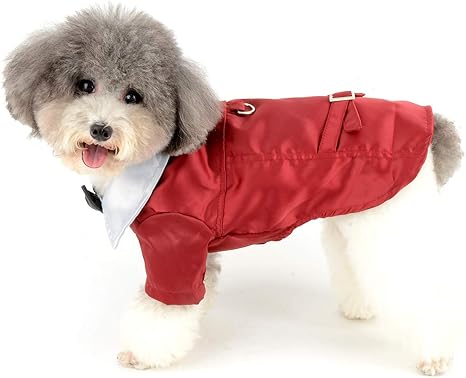 boy dog clothes amazon