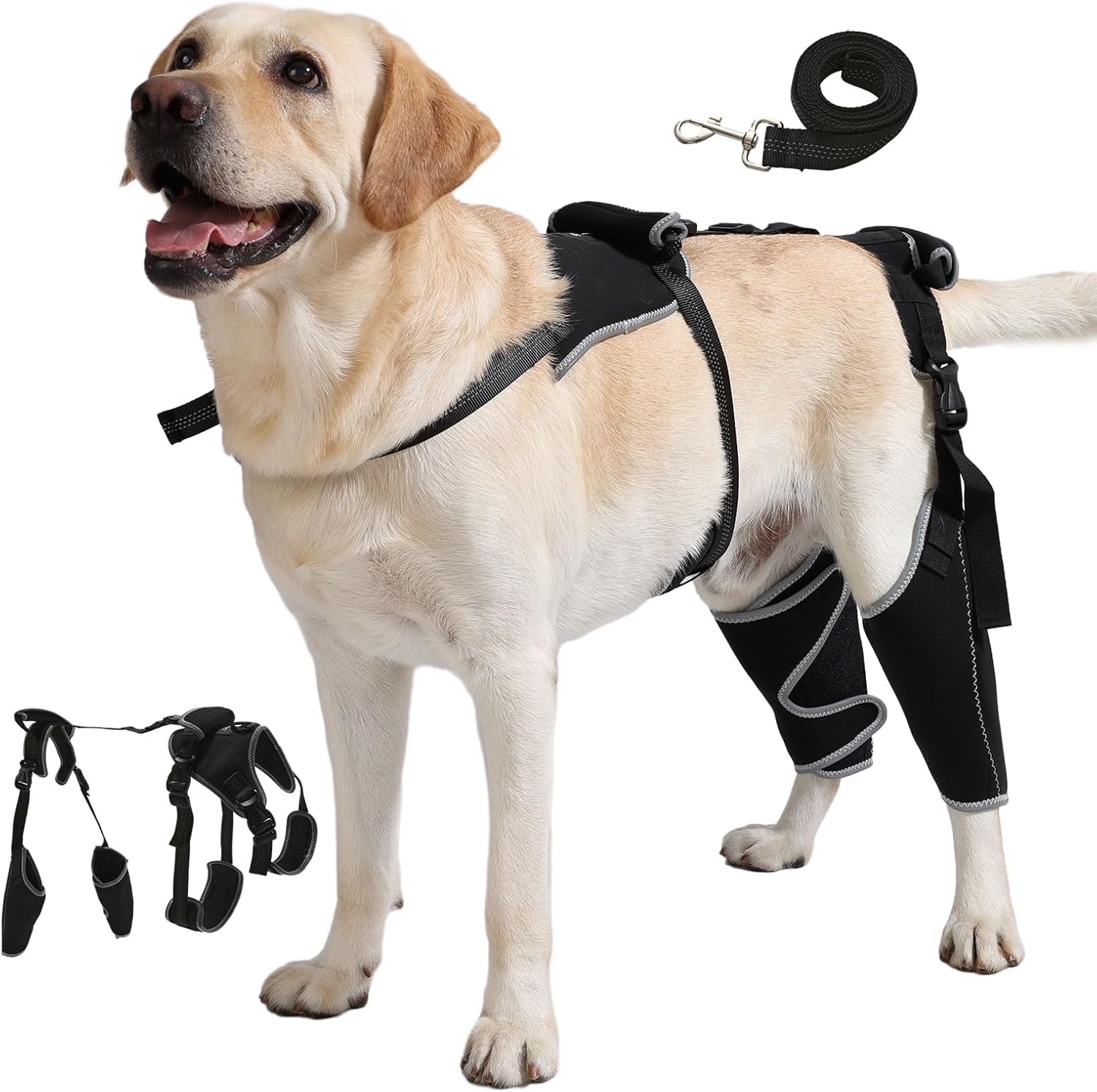 Dog Knee Brace with Adjustable Support Acl Hind Leg for Support with Cruciate Ligament Injury, luxating Patella,Arthritis,Dog Acl Knee Brace with Dog Chest Harness