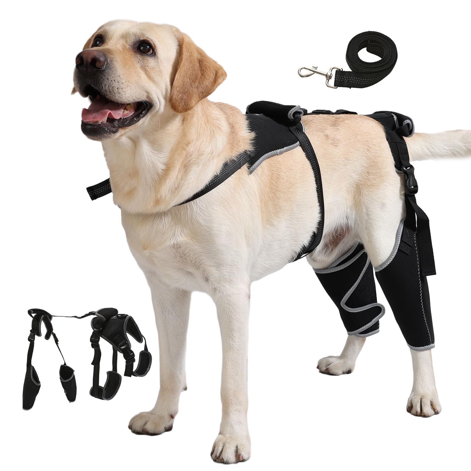 Spajoy Brace with Dog Chest Harness