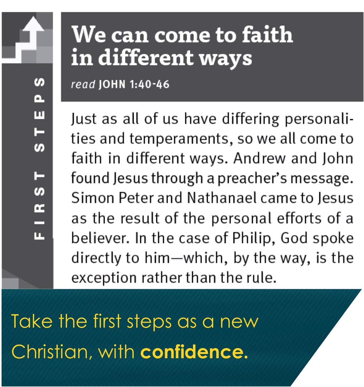 New Believer's Bible NLT (Softcover): First Steps for New Christians