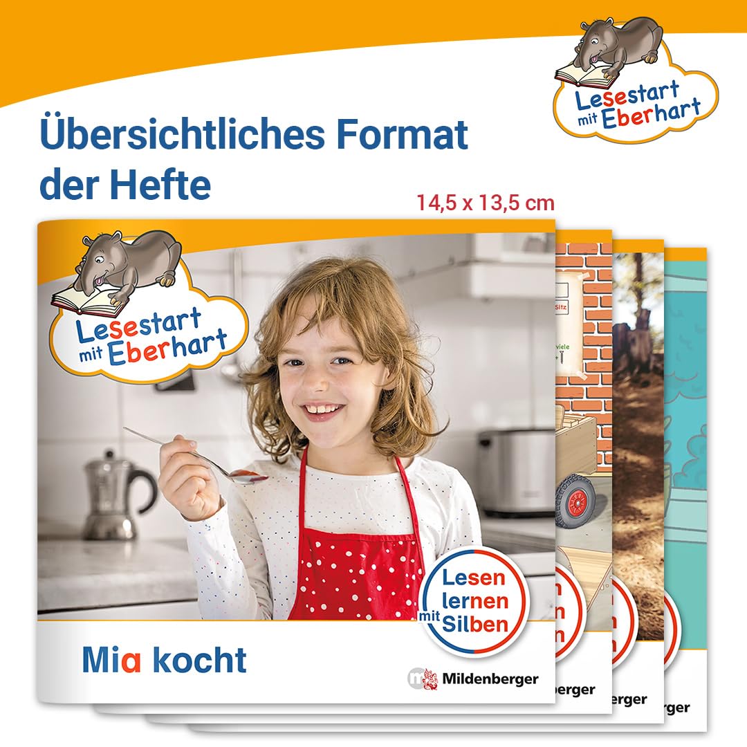 Paket Lesestart mit Eberhart, Lesestufe 1: Komplettbezug Heft 1-10: Themenhefte für Erstleser, Lesestufe 1
