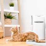 Litter Genie Peau de style - Chat Litter Système d'élimination des déchets avec sac de recharge de la queue carrée - Compatible avec Standard et Jumbo Litter Genie Recharge