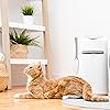 Product Photo 7