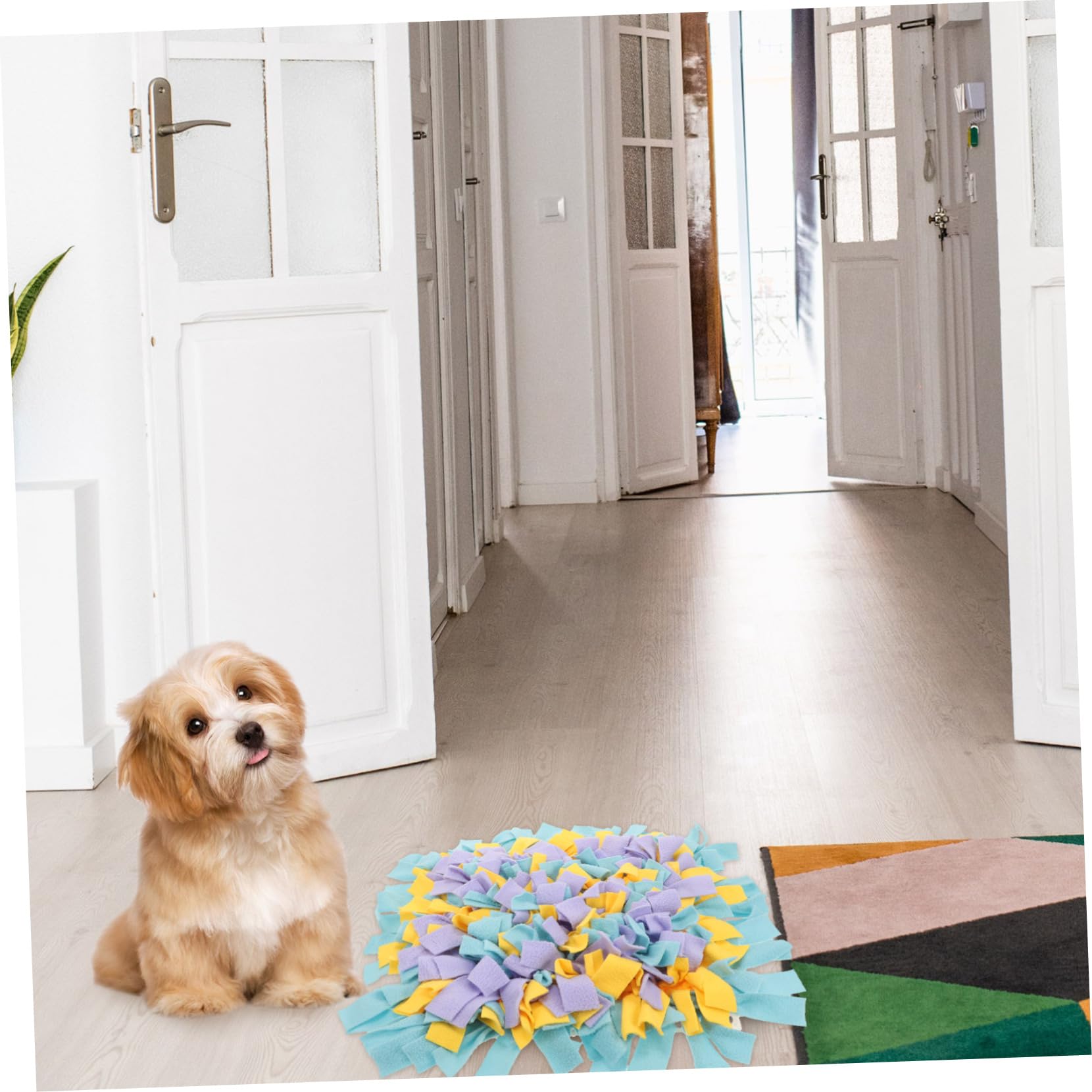 POPETPOP Tappetino Puzzle Per Cani Da Annusare Tappetino Interattivo Per Animali Domestici Morsi Per Cani Spesso Facile Da Pulire