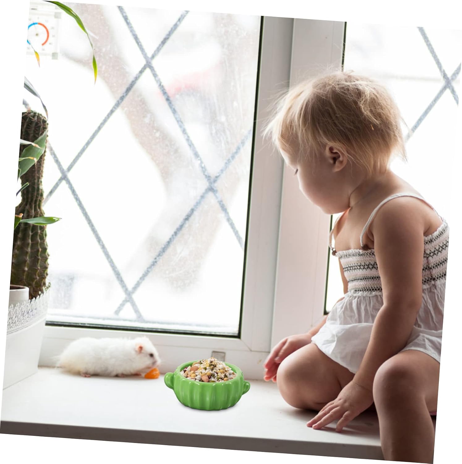BESPORTBLE Cactus Ceramic Feeding Bowl for Hamsters Food Dish for Pets Animal Feeding Bowl with Design for Daily Food Water Needs