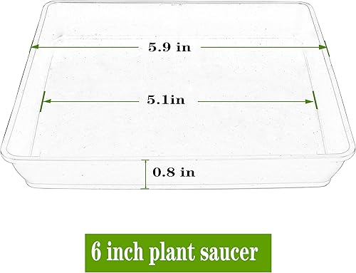 Miniatura 2 de Platillo cuadrado para plantas de 6, 8, 10, 12, 14, 16, 18, 20 pulgadas, paquete de 5 platillos de plástico, bandeja de drenaje de agua para
