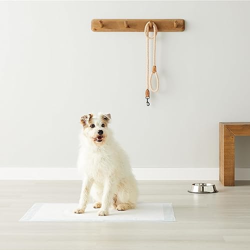 Miniatura 6 de Tienda Basics Almohadillas para orinar para perros y cachorros con diseño de 5 capas a prueba de fugas y superficie de secado rápido para