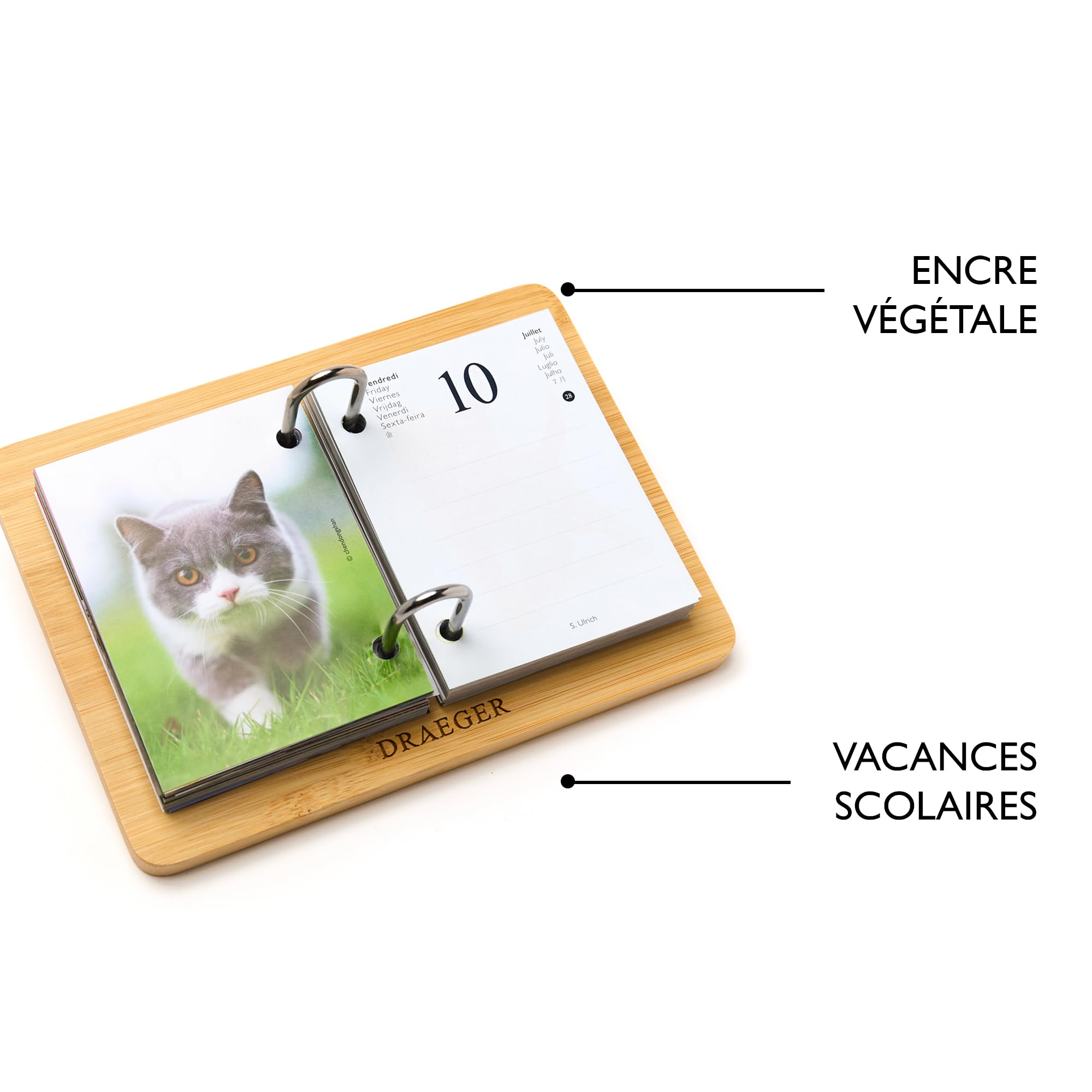 Katten Agenda 2026 Kopen? met mooie foto's van Katten