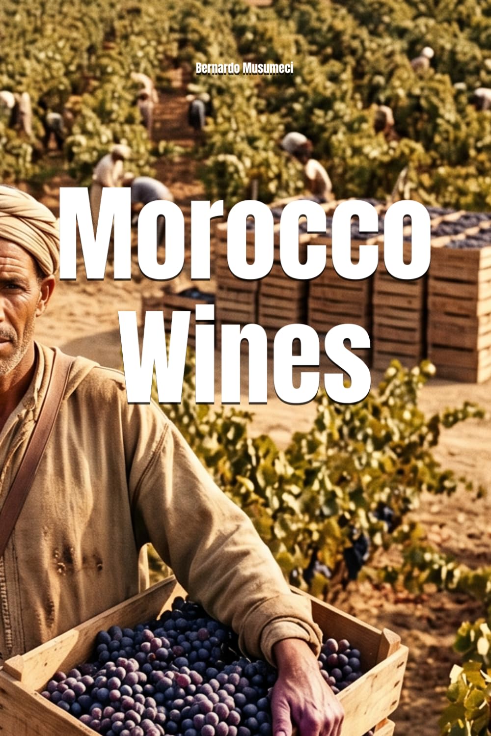 Morocco Wines (Wines of the World)
