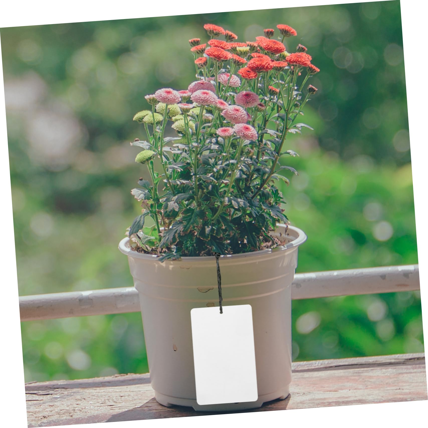 BESPORTBLE 150pièces Étiquettes De Plantes Aluminium Réutilisables De Marqueurs Métalliques Pour Identifier Arbres Et Fleurs Jardinage Intérieur Et Extérieur