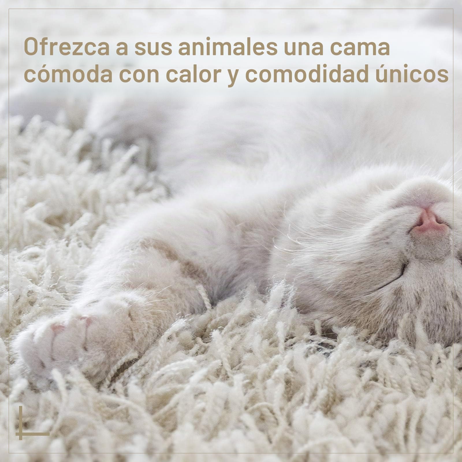 PawHut Cama para Gatos de ratán Cueva para Gatos con cojín Cesta para Gatos Cama para Perros Lugar para Dormir para Gatos Perrera para Mascotas para Gatos Perros Beige Ø56 x 35 cm | Cama para gatos, casa para gatos, tienda de campaña, casa para mascotas