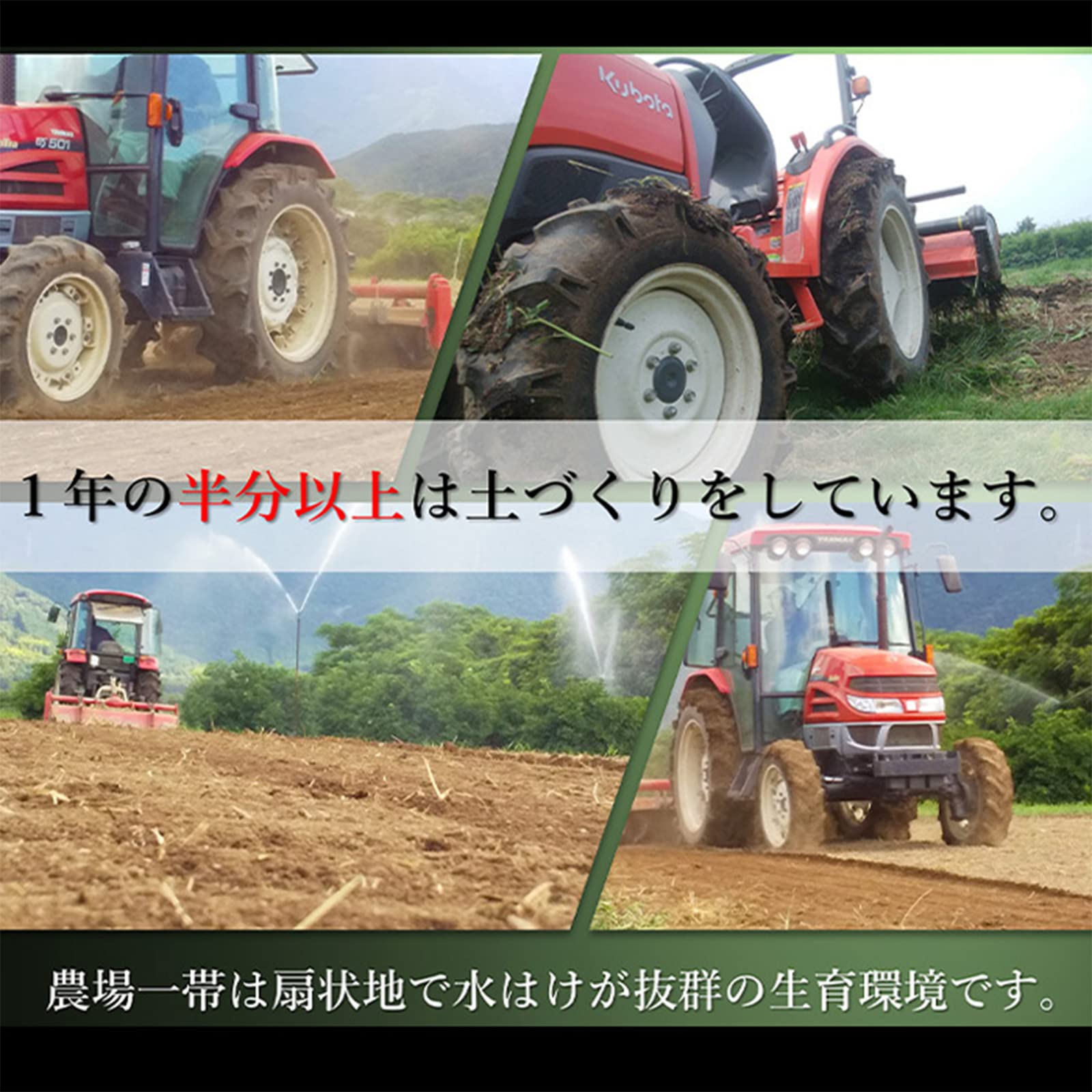 Amazon | 遠赤青汁V1 (1250粒ビン) | 遠赤青汁 | 青汁