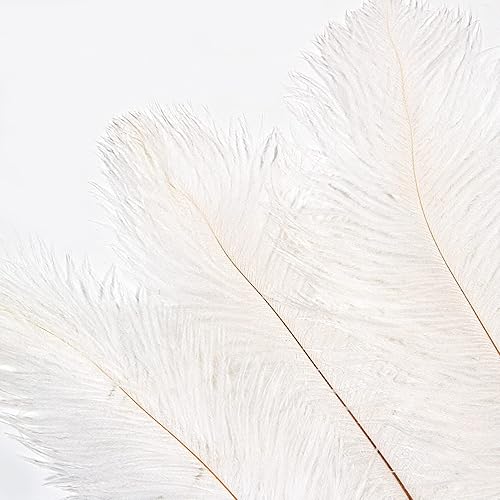 Miniatura 3 de 10 plumas de avestruz negro natural de 16-18 pulgadas 15.7-17.7 in para centros de mesa de fiesta de boda, decoración del hogar de Pascua