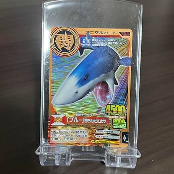 アニマルカイザー コバルト ホホジロザメ 6枚セット アニマルカイザー コバルト ホホジロザメ 6枚セット Amazon.co
