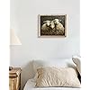 Product Photo 6