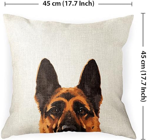 Miniatura 4 de WIRESTER Funda de almohada decorativa para sofá, para oficina en casa, 18 x 18 pulgadas, color negro y marrón