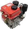 4-Stroke 6 HP Engine Single Cylinder Air Cooled, Single Cylinder Air Cooled Diesel Engine for Small Agricultural Machinery Kart Mini Bike Small Walking Tractor Irrigation