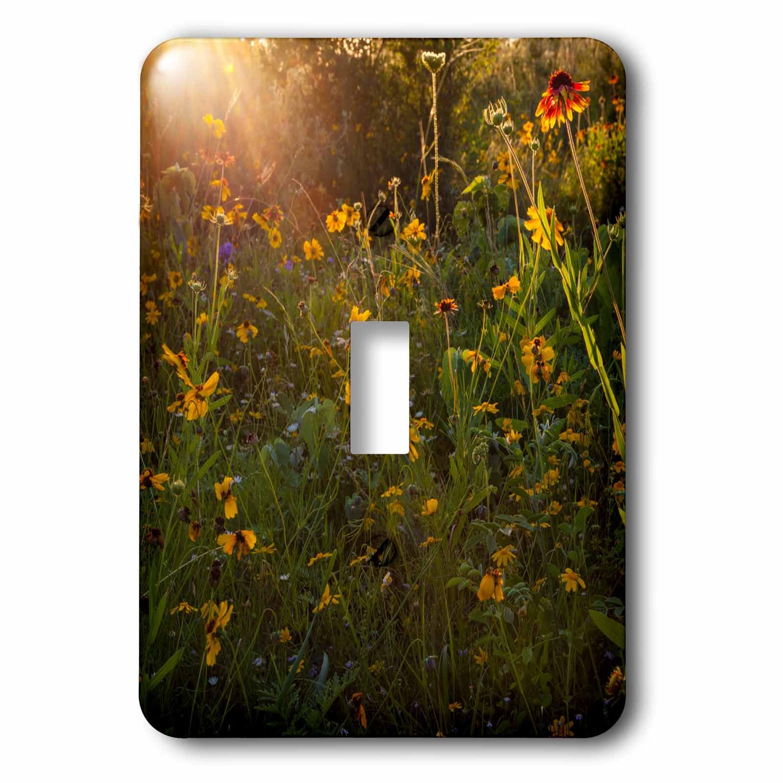 Cubierta para interruptor de luz 3dRose lsp_279510_1 decorativa