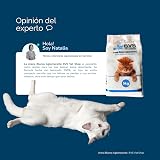 Ver la foto 8