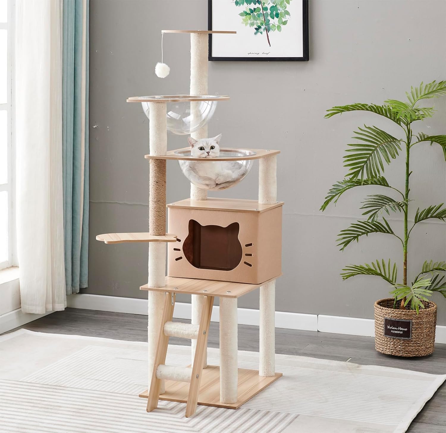 Amazon | 木製キャットタワー 高さ145cm 透明宇宙カプセル付き 猫部屋