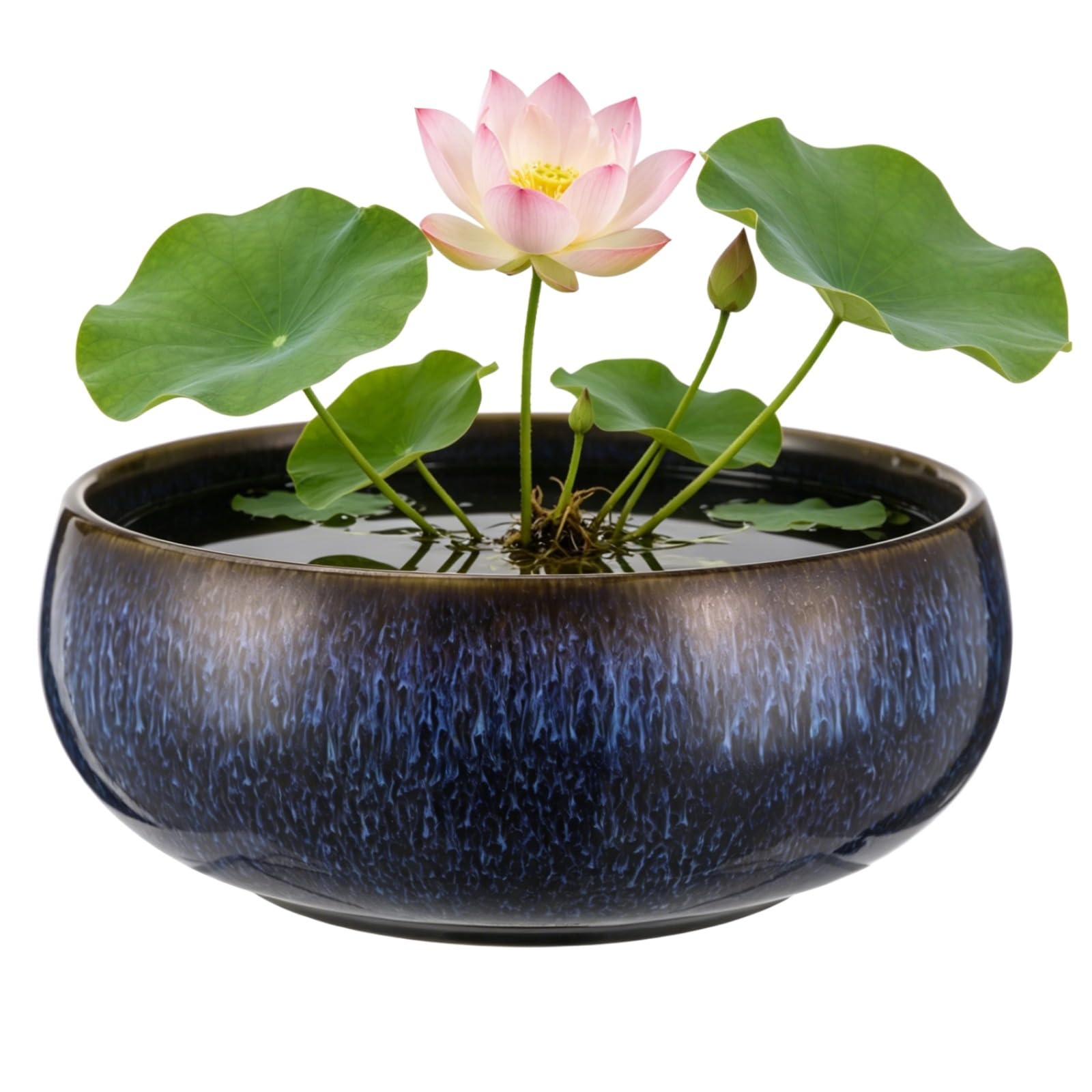SWEWARM Ceramic Lotus Flower Planter, 6.5 x 2.6 in Round Shallow Bonsai Bowl, Glazed Pot for Tea Washing, Lotus Plants, Succulents & Hydroponic Plants, Home Office Desktop Decor (Blue)