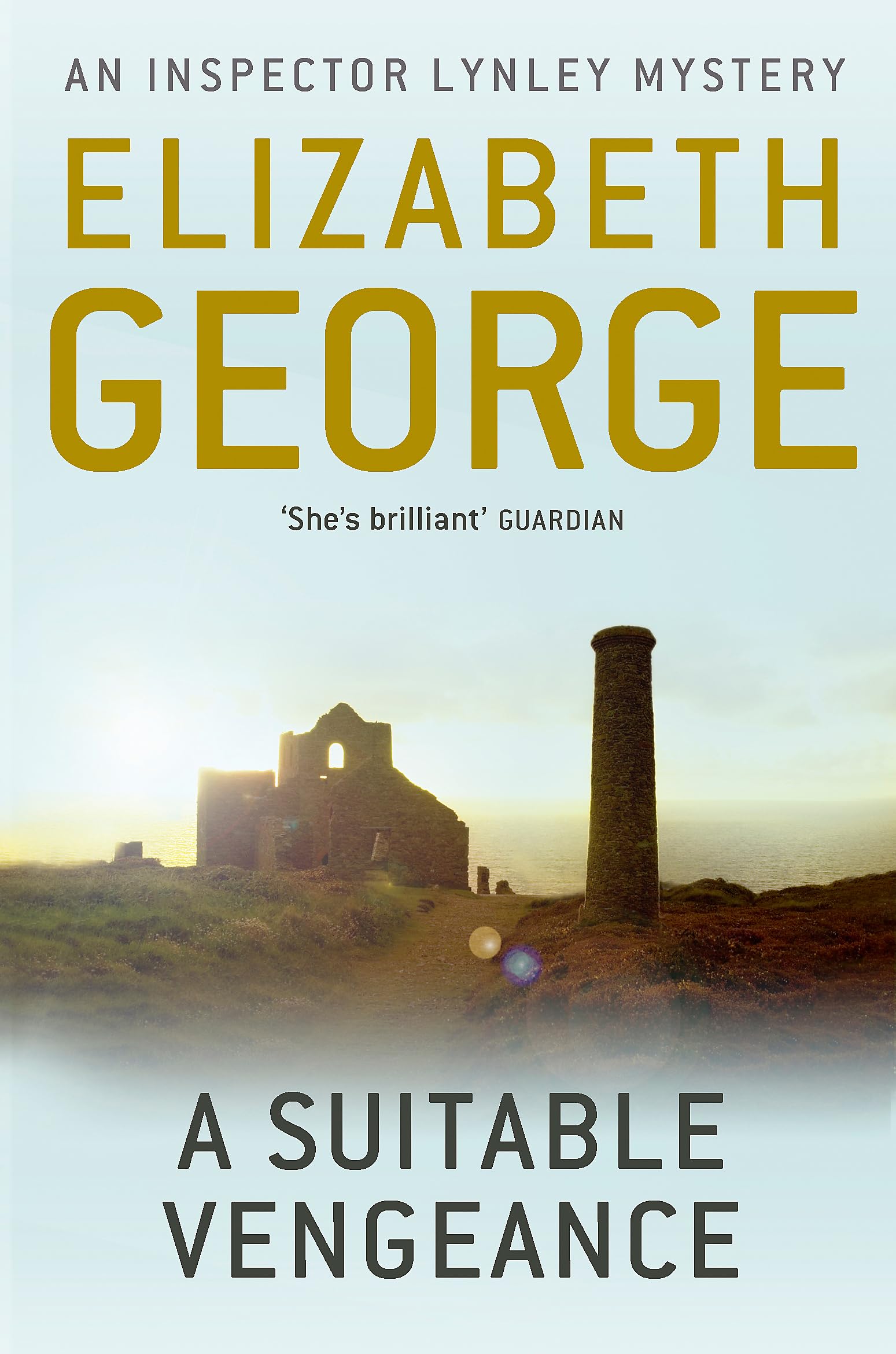 A Suitable Vengeance by Elizabeth George (Paperback Book)