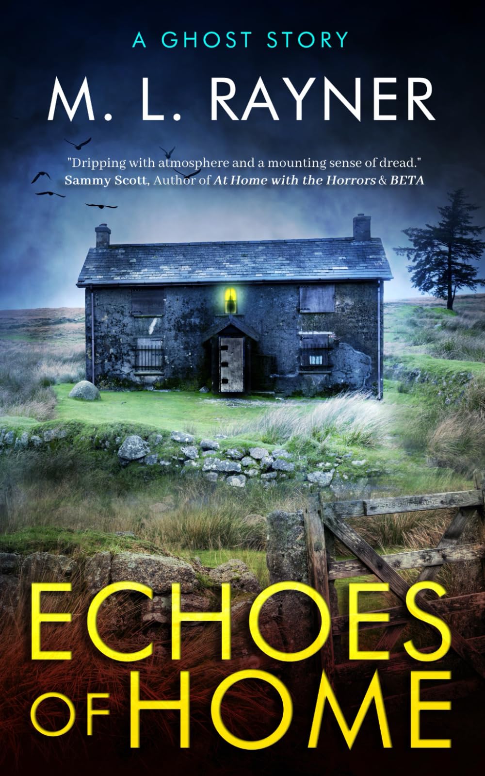 Echoes Of Home: A Ghost Story (Lost Soul Series)