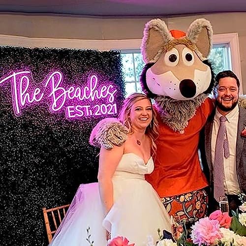 Miniatura 2 de Letreros de neón personalizados, luz de neón con nombre personalizado, letrero de neón LED regulable para decoración de pared del hogar, dormitorio,