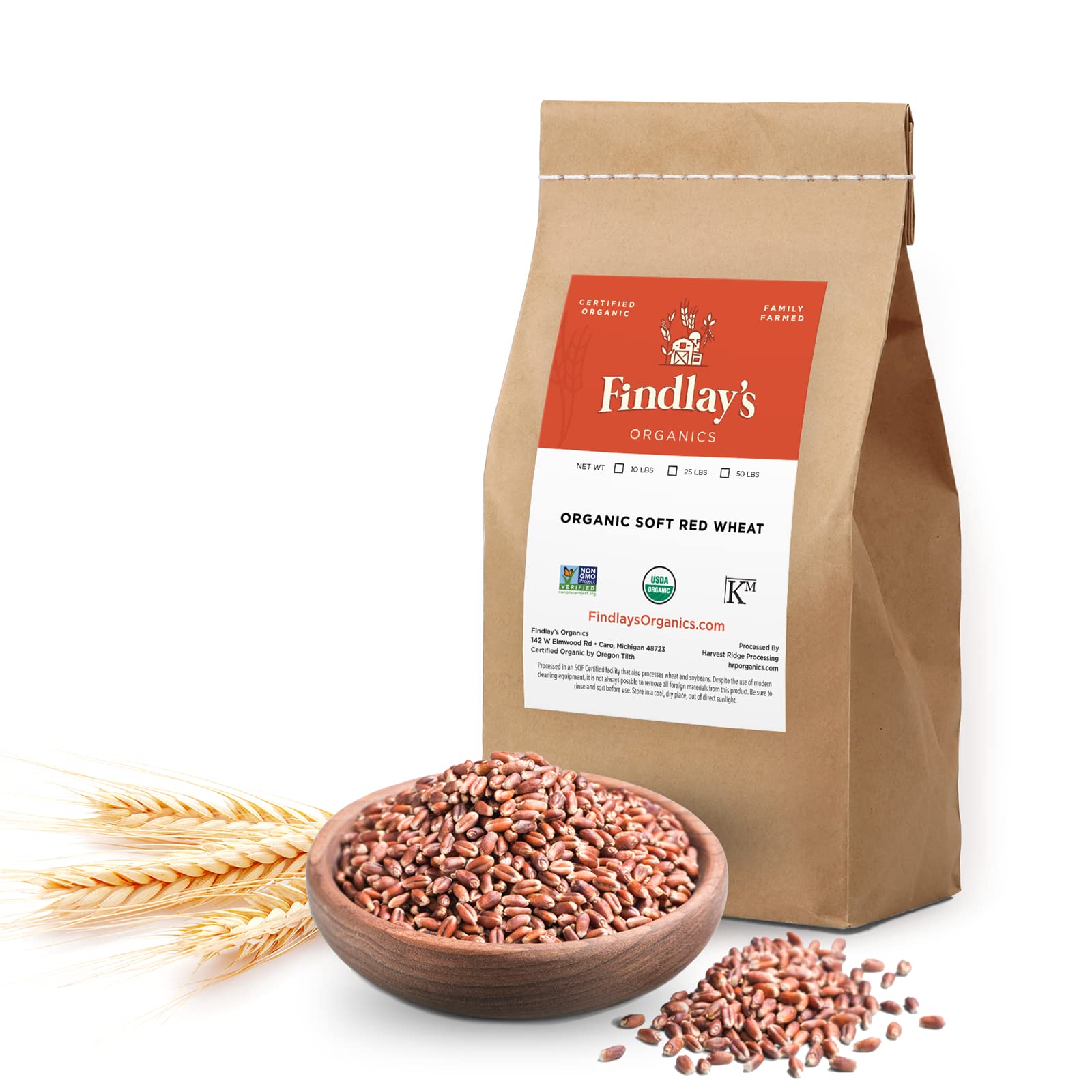 Soft Red Wheat Berries Organically Grown in Michigan, Farmer Direct, USDA Organic Certified, Non-GMO, 10 Lbs Total // Findlay's Organics