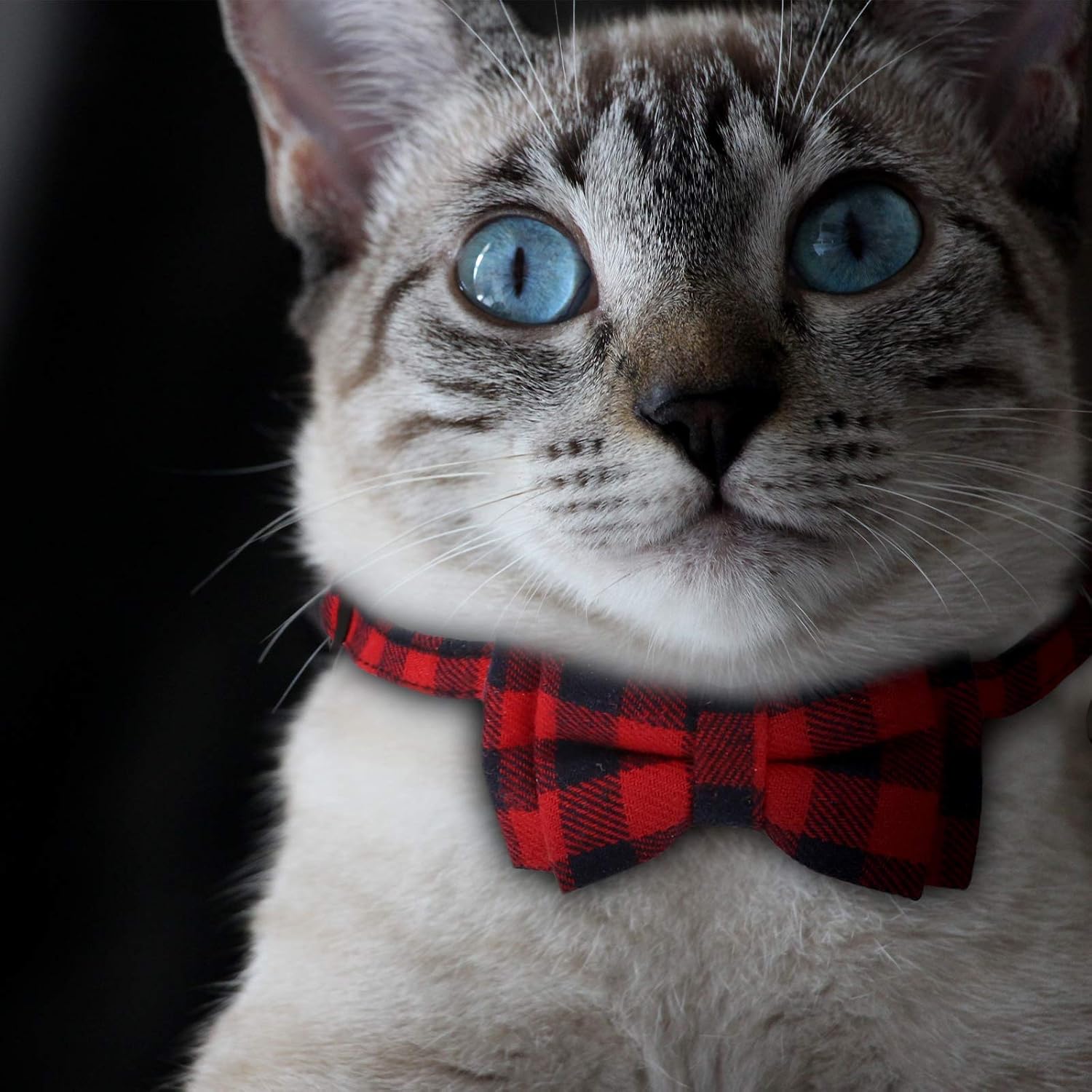 LUTER 2Pcs Christmas Plaid Cat Collars Breakaway with Bow Tie and Bells, Adjustable Collars for Cats, Kitten, Puppy Supplies (Red, Green)