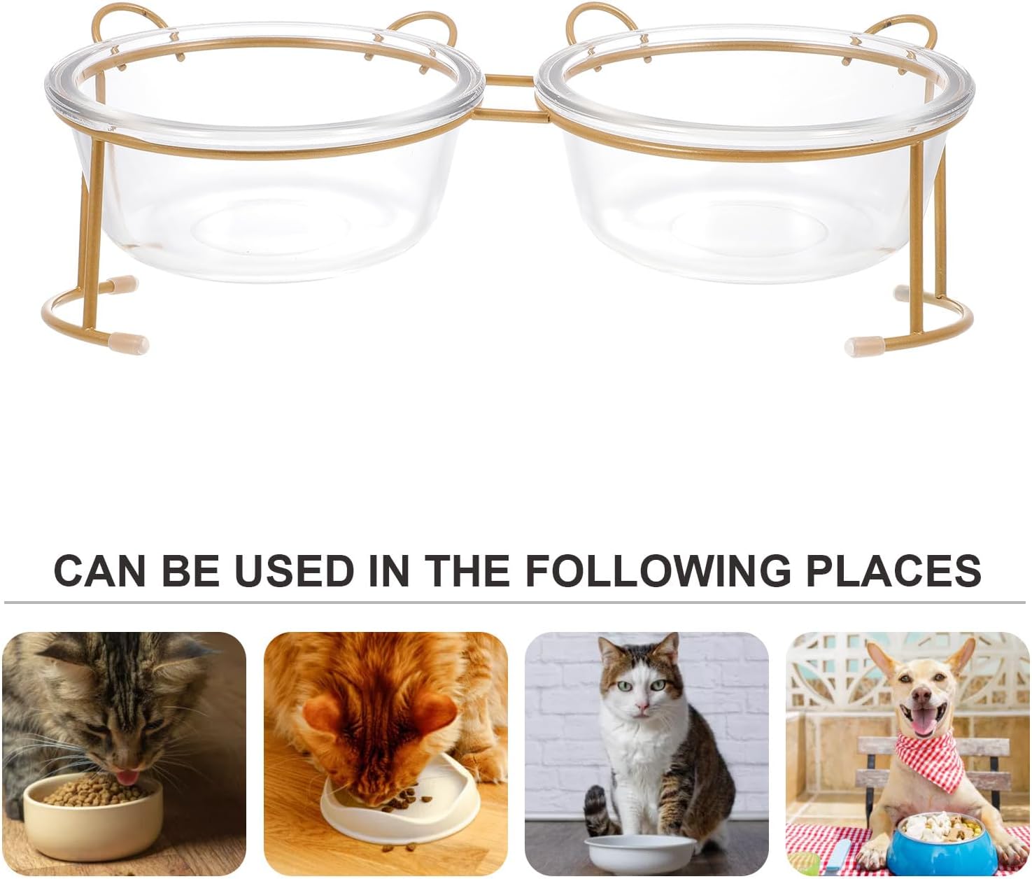 Double Glass Cat Food Bowl and Dog Water Bowl with Gold Metal Stand Raised Pet Feeding Station for Cats and Dogs Suitable for Indoor Use