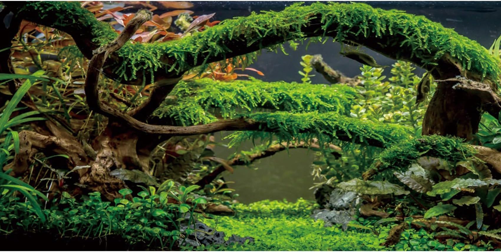 AWERT 30x12 inches Aquarium Background Branches Terrarium Background Aquatic Plant River Bed & Lake Fish Tank Background Vinyl Background