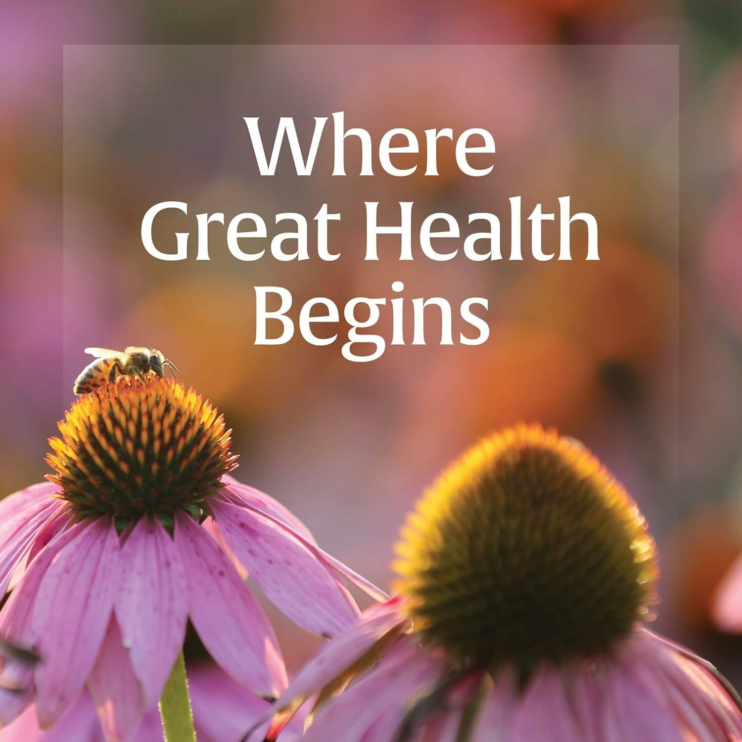 Natural Factors Anti-V Formula - Healthy Immune System Support Supplement - Herbal Immune Health Supplement with Reishi Mushroom & Licorice Root - 120 Softgels (120 Servings) - Image 8