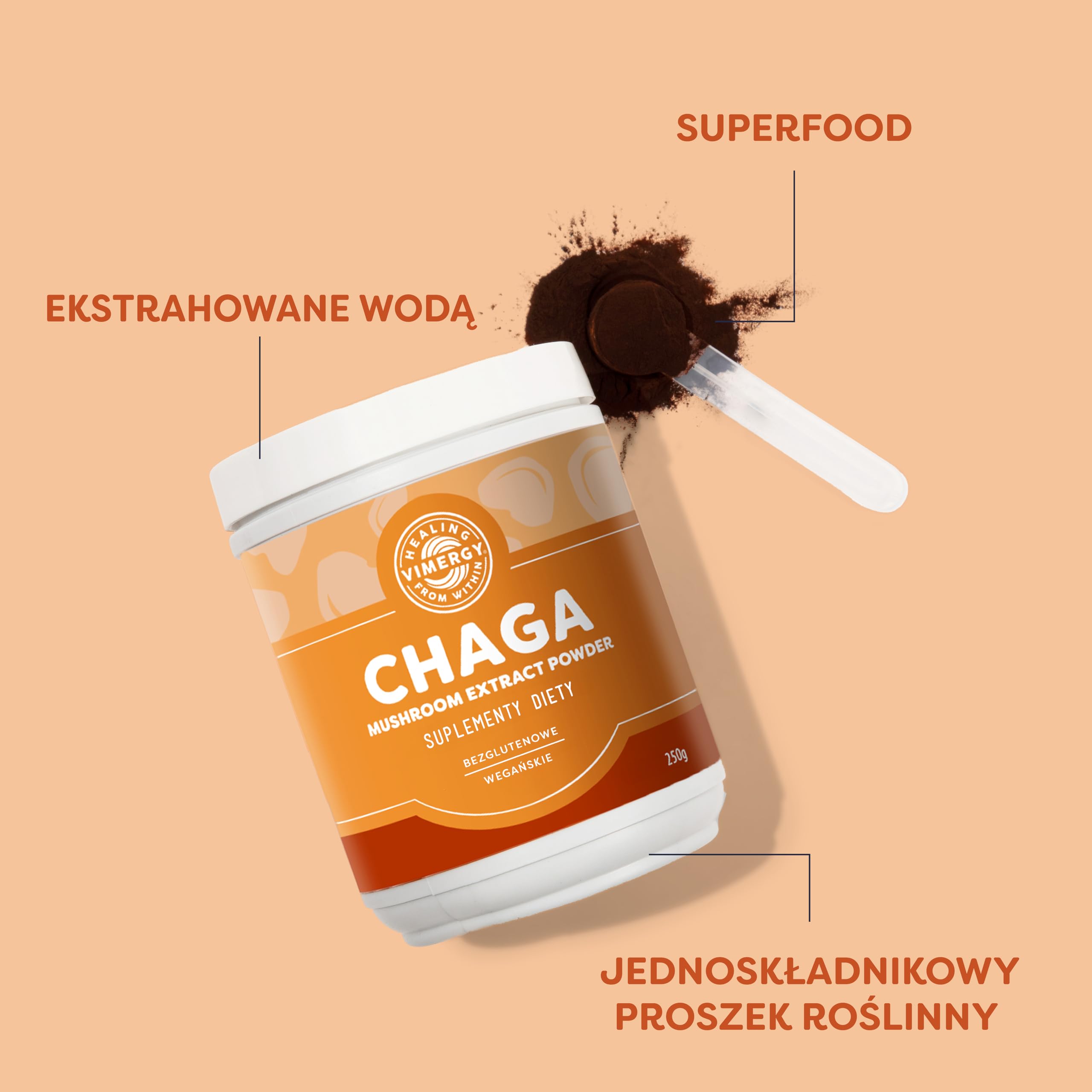 Vimergy Grzyb Chaga w Proszku, 166 Porcji – Błyskoporek Podkorowy Ekstrakt – Wegański Suplement z Grzybów – Bez Antyzbrylaczy, Wypełniaczy, Aromatów i Cukru – Bez GMO i Glutenu (250 g)