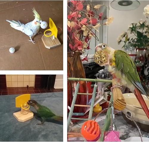 Miniatura 6 de QBLEEV Juguete de baloncesto para pájaros, actividad de loros y juguetes de búsqueda de comida, gimnasio de entrenamiento de aves