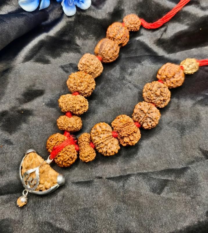 Astro Cart Sarva Siddha Mala Nepal 1 To 14 Mukhi Rudraksha Mala एक से चौदह मुखी रुद्राक्ष माला Ek Se Chaudah Mukhi Rudraksha Ki Malaa With Guari Shankar & Ganesh Rudraksh Nepal Beads Blessed Shiva For Dhyan 1