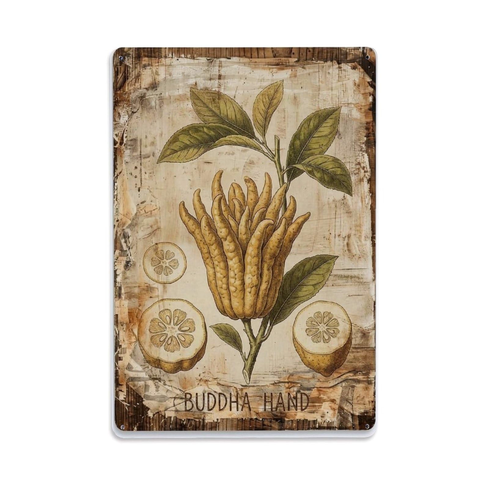 Fqnyr Style Buddha Hand Citrus Metal Tin Sign Plaque Wall Decor For Cafe, Club Bar, Office, Home Garden Metal Poster 8X12inch