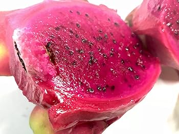 ※アイティー農園出品※ オレンジピタヤ１０株セット アイティー農園出品※ オレンジピタヤ10株セット Amazon.co.jp