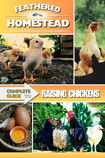 Raising Chickens, Hens with Feathered Homestead; A complete and easy Guide to raising a domestic flock of happy chickens.: Top and Best Breads, ... Whether you're a Begginer or a Seasoned Pro.