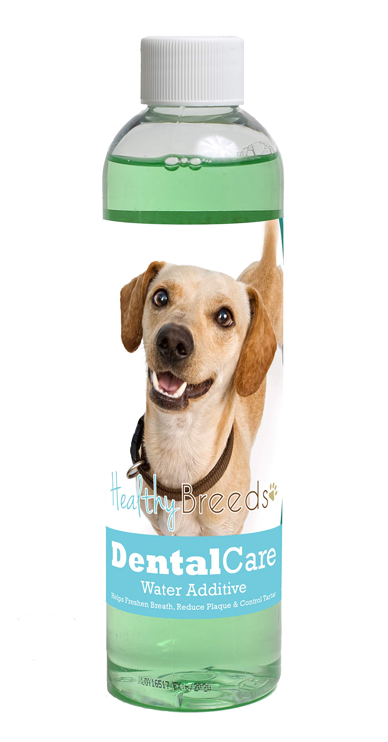Healthy Breeds Dog Dental Care Water Additive for Chiweenie - Helps Freshen Breath, Reduce Plaque &amp; Control Tartar - Mint Flavor - 8 oz