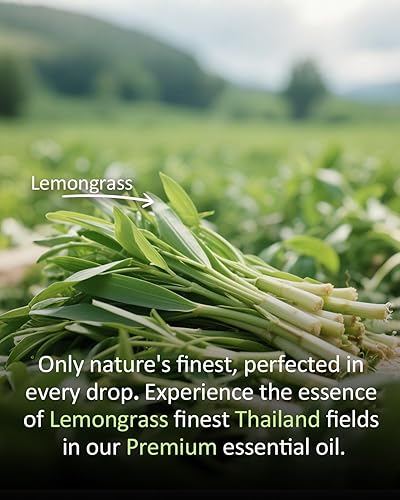 Miniatura 99 de Aceite esencial de sándalo puro, aceite esencial de sándalo natural 100% puro, aceites esenciales de alta calidad para difusores para el hogar