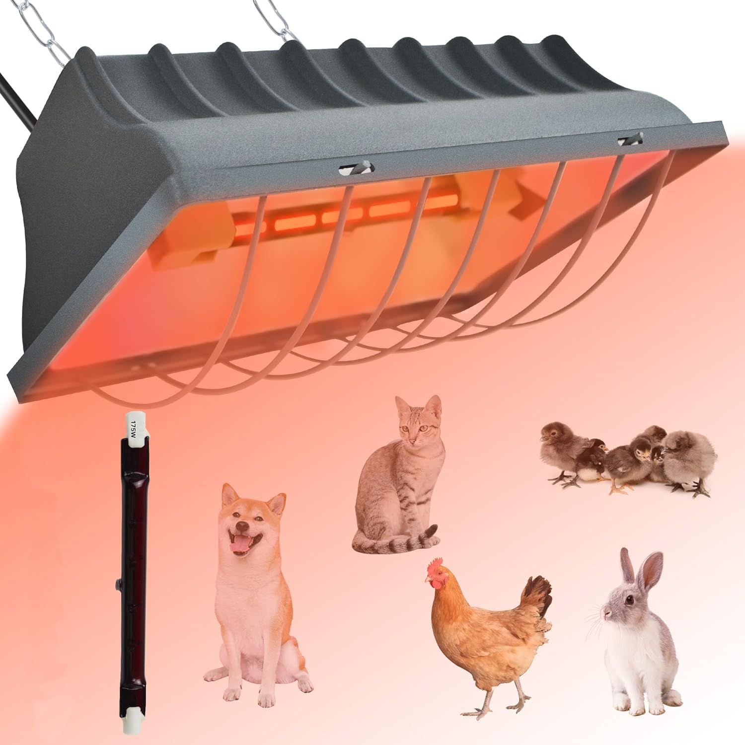 HEYOUTH Warmtelamp kippen, roodlichtlamp warmtelamp kuikens, met spaarschakelaar, verwarmingslamp kippenhok, warmtelamp dieren, biggenlamp, kuikenlamp, warmtelamp dieren kippen infrarood
